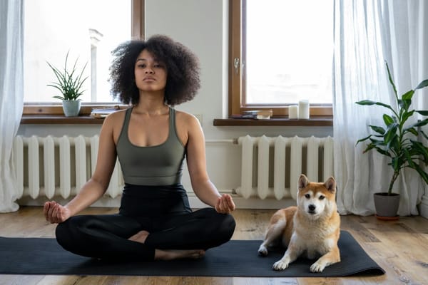 Fitnessraum einrichten: Frau auf Yogamatte sitzend im Lotussitz, neben einem Akita