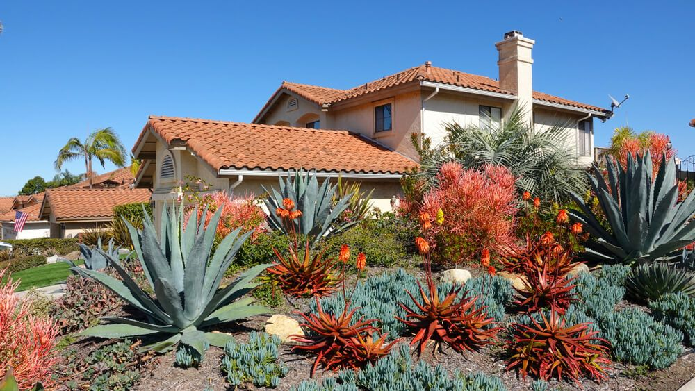 best free landscape design